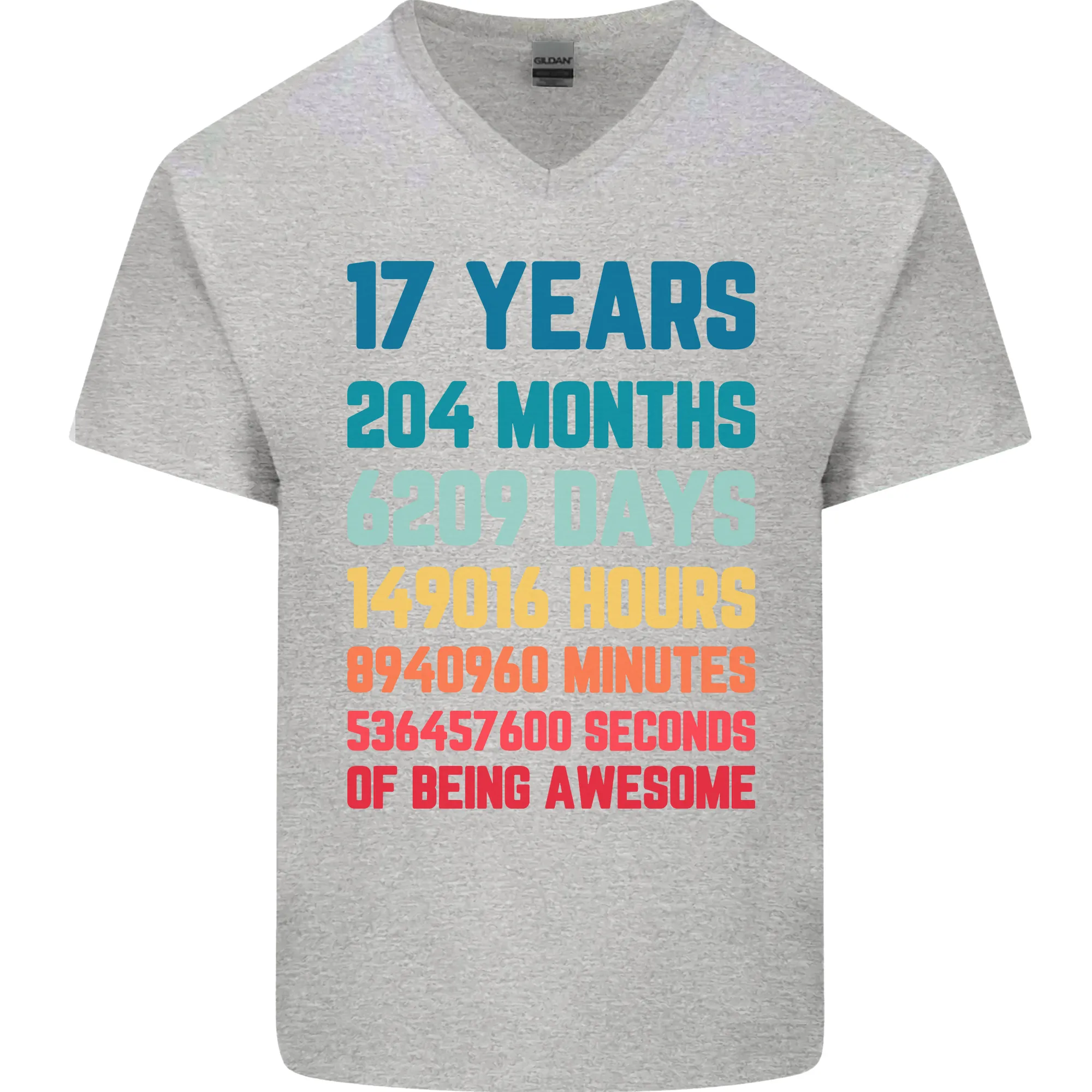 17th Birthday 17 Year Old Mens V-Neck Cotton T-Shirt