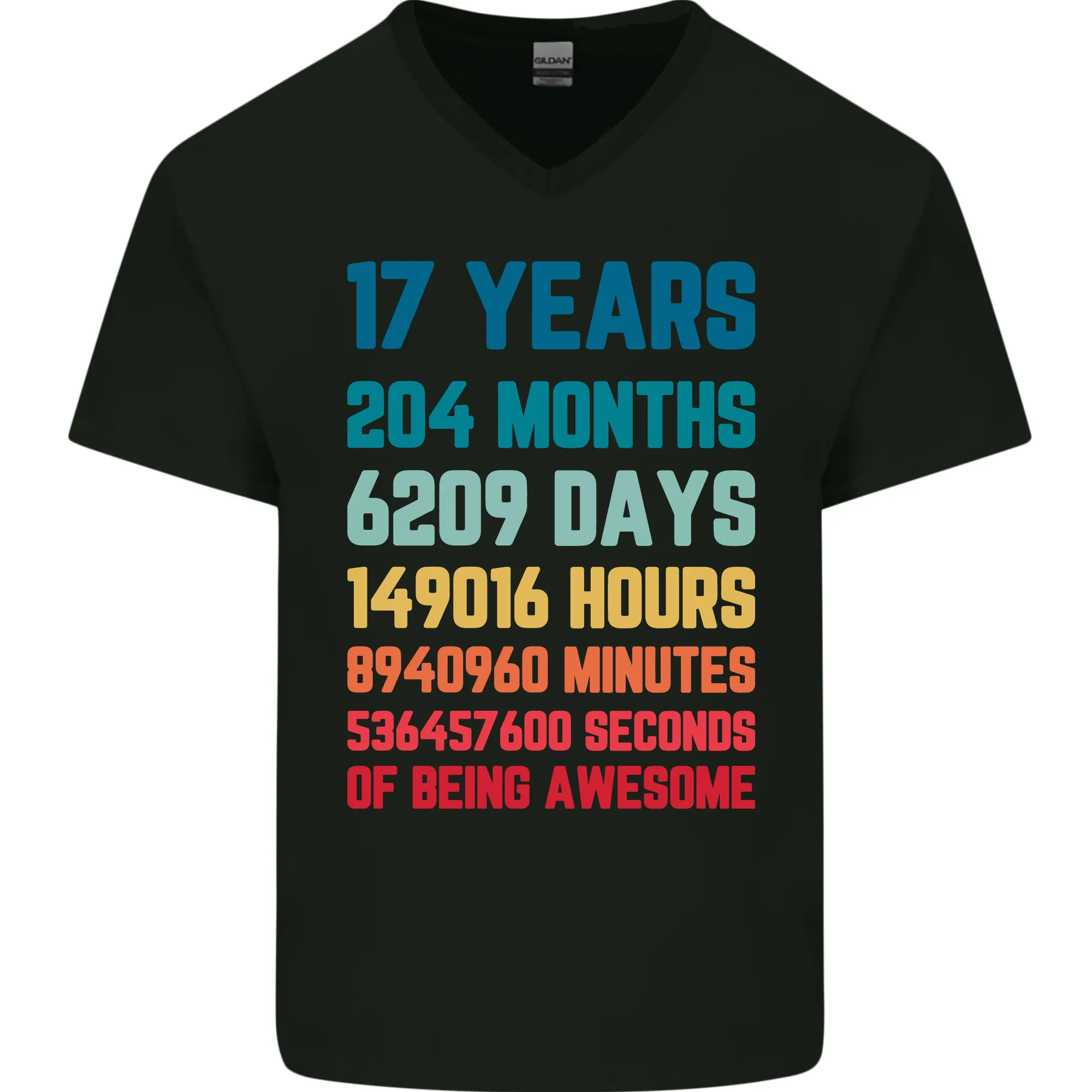 17th Birthday 17 Year Old Mens V-Neck Cotton T-Shirt