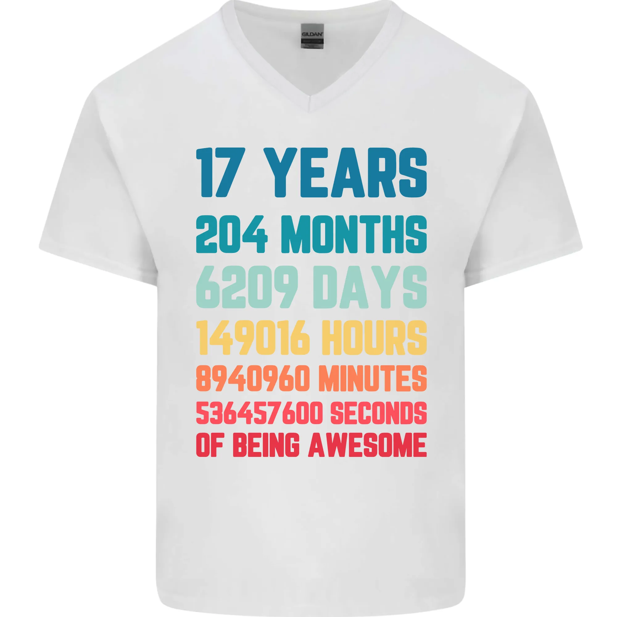 17th Birthday 17 Year Old Mens V-Neck Cotton T-Shirt