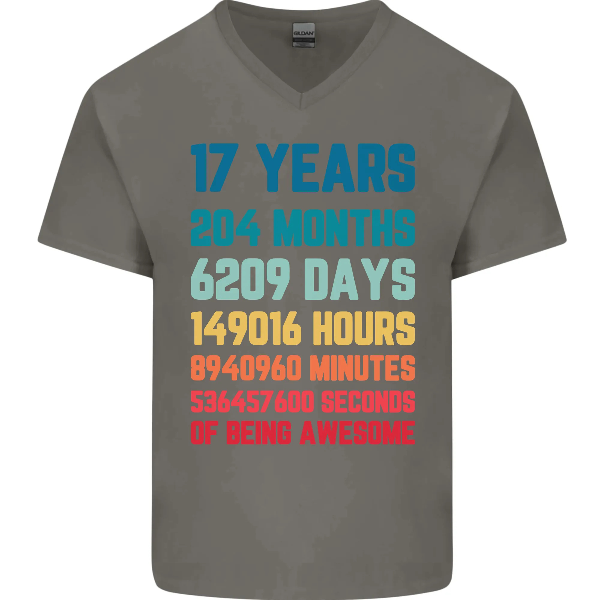 17th Birthday 17 Year Old Mens V-Neck Cotton T-Shirt