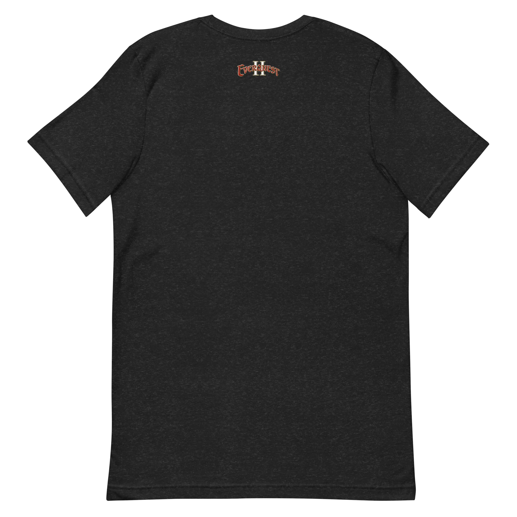 EverQuest®II Paladin T-Shirt