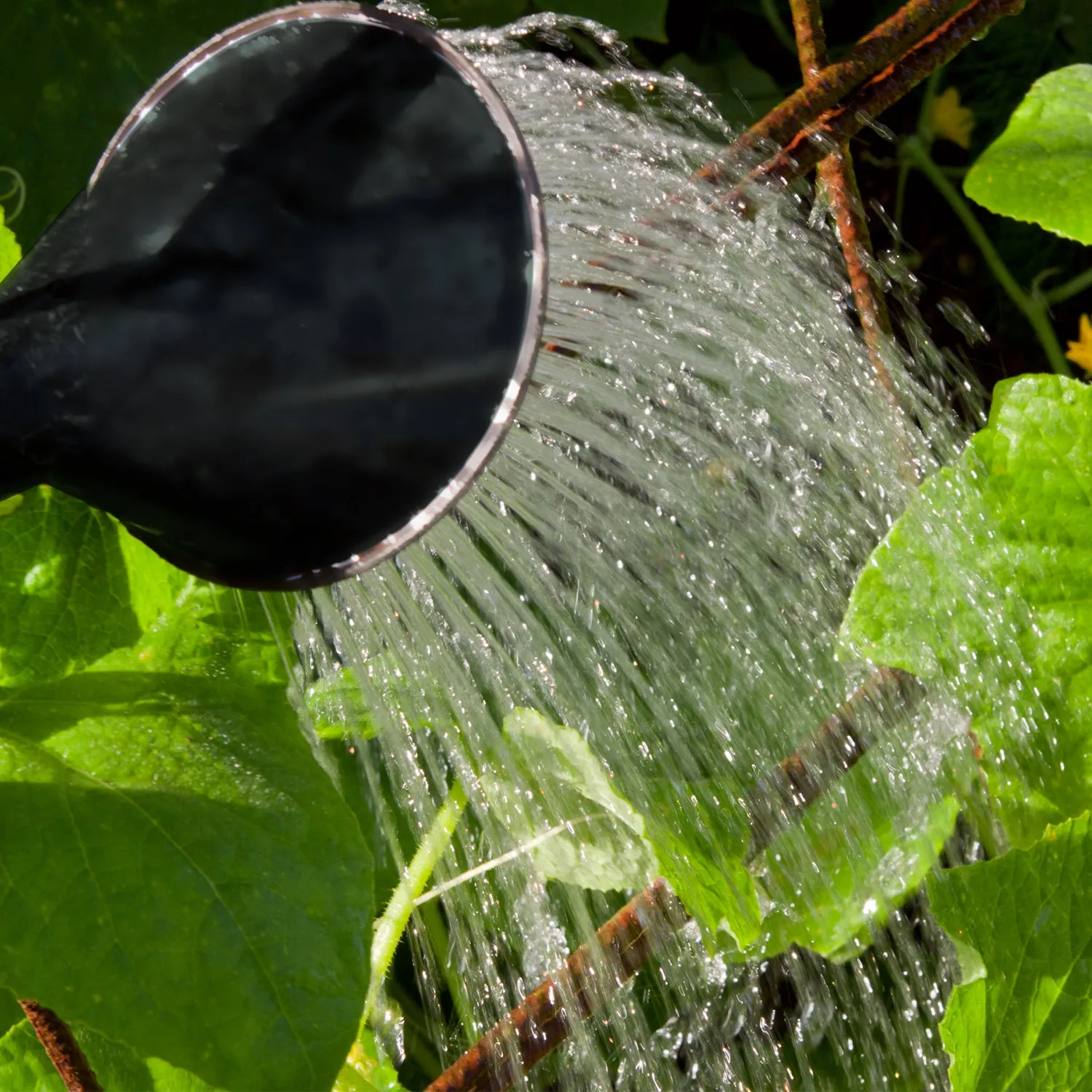 Garden Watering Can with Sprinkler Head - Large Capacity Strong Plastic Watering Can