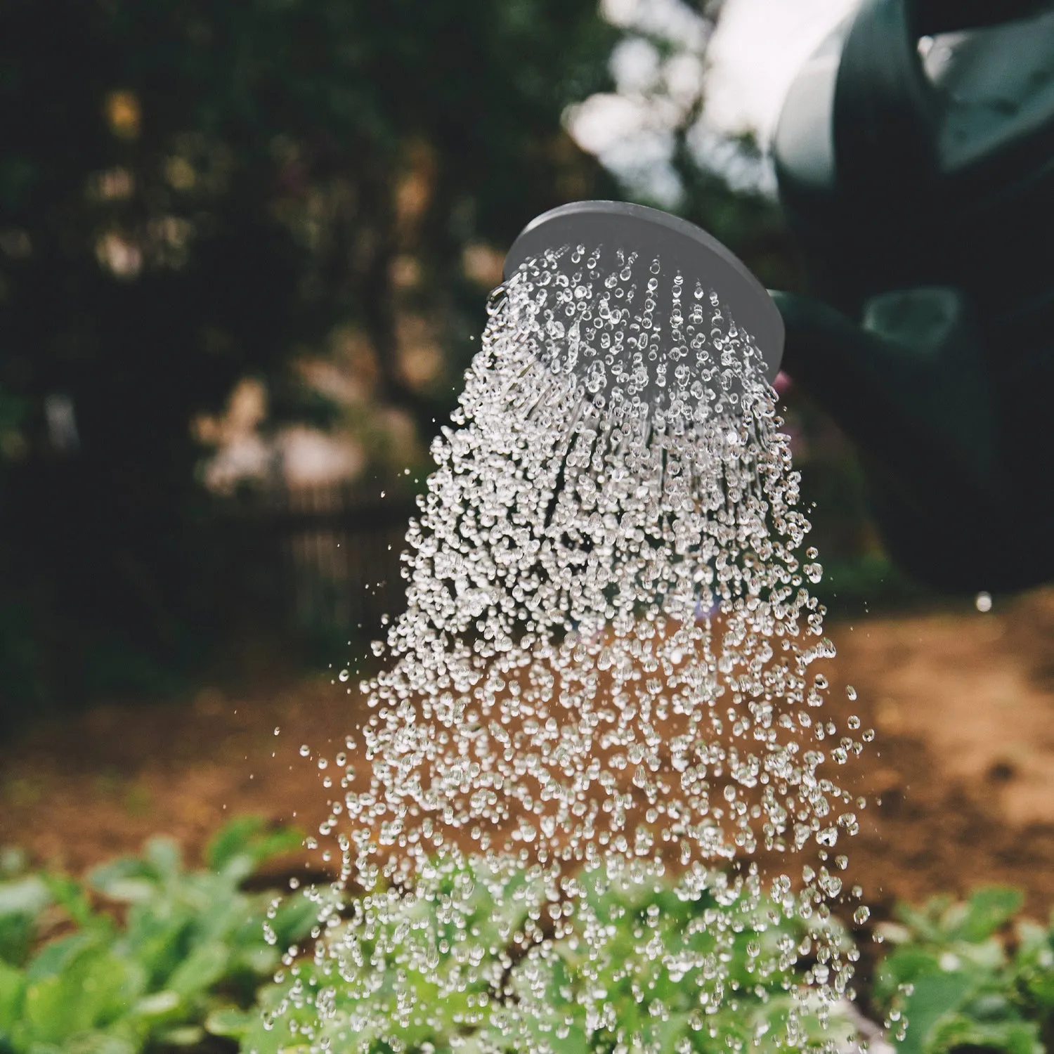 Garden Watering Can with Sprinkler Head - Large Capacity Strong Plastic Watering Can